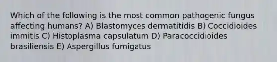 Which of the following is the most common pathogenic fungus affecting humans? A) Blastomyces dermatitidis B) Coccidioides immitis C) Histoplasma capsulatum D) Paracoccidioides brasiliensis E) Aspergillus fumigatus