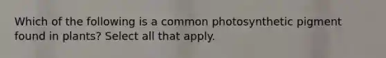 Which of the following is a common photosynthetic pigment found in plants? Select all that apply.