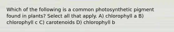 Which of the following is a common photosynthetic pigment found in plants? Select all that apply. A) chlorophyll a B) chlorophyll c C) carotenoids D) chlorophyll b