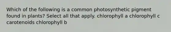 Which of the following is a common photosynthetic pigment found in plants? Select all that apply. chlorophyll a chlorophyll c carotenoids chlorophyll b
