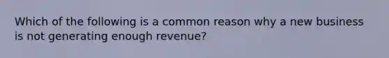 Which of the following is a common reason why a new business is not generating enough revenue?