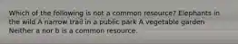 Which of the following is not a common resource? Elephants in the wild A narrow trail in a public park A vegetable garden Neither a nor b is a common resource.