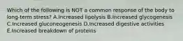 Which of the following is NOT a common response of the body to long-term stress? A.Increased lipolysis B.Increased glycogenesis C.Increased gluconeogenesis D.Increased digestive activities E.Increased breakdown of proteins