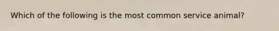 Which of the following is the most common service animal?