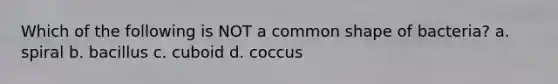 Which of the following is NOT a common shape of bacteria? a. spiral b. bacillus c. cuboid d. coccus