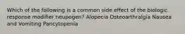 Which of the following is a common side effect of the biologic response modifier neupogen? Alopecia Osteoarthralgia Nausea and Vomiting Pancytopenia