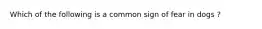 Which of the following is a common sign of fear in dogs ?