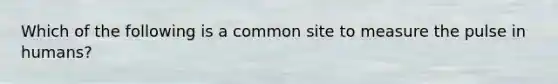 Which of the following is a common site to measure the pulse in humans?