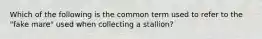 Which of the following is the common term used to refer to the "fake mare" used when collecting a stallion?