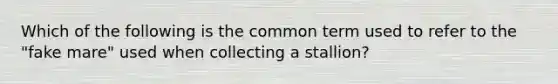 Which of the following is the common term used to refer to the "fake mare" used when collecting a stallion?