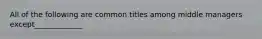 All of the following are common titles among middle managers except_____________