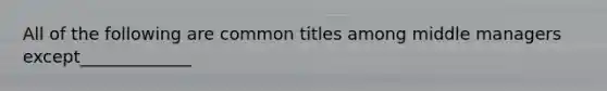 All of the following are common titles among middle managers except_____________