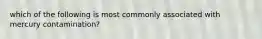 which of the following is most commonly associated with mercury contamination?