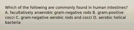 Which of the following are commonly found in human intestines? A. facultatively anaerobic gram-negative rods B. gram-positive cocci C. gram-negative aerobic rods and cocci D. aerobic helical bacteria