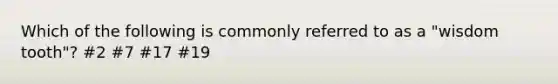 Which of the following is commonly referred to as a "wisdom tooth"? #2 #7 #17 #19