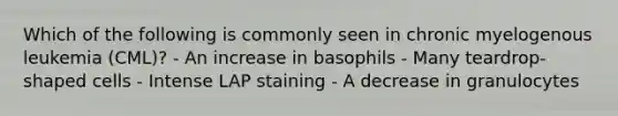 Which of the following is commonly seen in chronic myelogenous leukemia (CML)? - An increase in basophils - Many teardrop-shaped cells - Intense LAP staining - A decrease in granulocytes