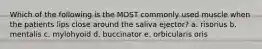 Which of the following is the MOST commonly used muscle when the patients lips close around the saliva ejector? a. risorius b. mentalis c. mylohyoid d. buccinator e. orbicularis oris