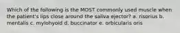 Which of the following is the MOST commonly used muscle when the patient's lips close around the saliva ejector? a. risorius b. mentalis c. mylohyoid d. buccinator e. orbicularis oris