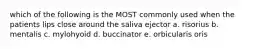 which of the following is the MOST commonly used when the patients lips close around the saliva ejector a. risorius b. mentalis c. mylohyoid d. buccinator e. orbicularis oris