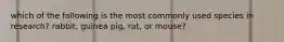 which of the following is the most commonly used species in research? rabbit, guinea pig, rat, or mouse?