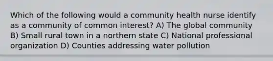 Which of the following would a community health nurse identify as a community of common interest? A) The global community B) Small rural town in a northern state C) National professional organization D) Counties addressing water pollution