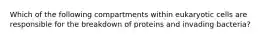 Which of the following compartments within eukaryotic cells are responsible for the breakdown of proteins and invading bacteria?
