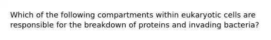 Which of the following compartments within eukaryotic cells are responsible for the breakdown of proteins and invading bacteria?