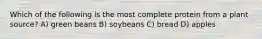 Which of the following is the most complete protein from a plant source? A) green beans B) soybeans C) bread D) apples