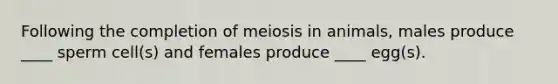 Following the completion of meiosis in animals, males produce ____ sperm cell(s) and females produce ____ egg(s).