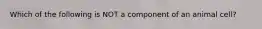 Which of the following is NOT a component of an animal cell?