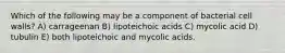 Which of the following may be a component of bacterial cell walls? A) carrageenan B) lipoteichoic acids C) mycolic acid D) tubulin E) both lipoteichoic and mycolic acids.