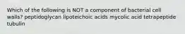 Which of the following is NOT a component of bacterial cell walls? peptidoglycan lipoteichoic acids mycolic acid tetrapeptide tubulin