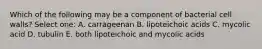 Which of the following may be a component of bacterial cell walls? Select one: A. carrageenan B. lipoteichoic acids C. mycolic acid D. tubulin E. both lipoteichoic and mycolic acids