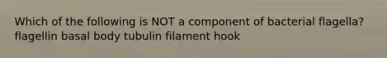 Which of the following is NOT a component of bacterial flagella? flagellin basal body tubulin filament hook