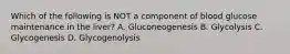 Which of the following is NOT a component of blood glucose maintenance in the liver? A. Gluconeogenesis B. Glycolysis C. Glycogenesis D. Glycogenolysis