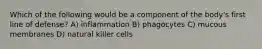 Which of the following would be a component of the body's first line of defense? A) inflammation B) phagocytes C) mucous membranes D) natural killer cells