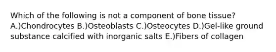 Which of the following is not a component of bone tissue? A.)Chondrocytes B.)Osteoblasts C.)Osteocytes D.)Gel-like ground substance calcified with inorganic salts E.)Fibers of collagen