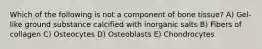 Which of the following is not a component of bone tissue? A) Gel-like ground substance calcified with inorganic salts B) Fibers of collagen C) Osteocytes D) Osteoblasts E) Chondrocytes