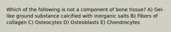 Which of the following is not a component of bone tissue? A) Gel-like ground substance calcified with inorganic salts B) Fibers of collagen C) Osteocytes D) Osteoblasts E) Chondrocytes