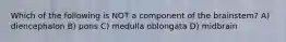 Which of the following is NOT a component of the brainstem? A) diencephalon B) pons C) medulla oblongata D) midbrain