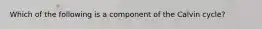 Which of the following is a component of the Calvin cycle?