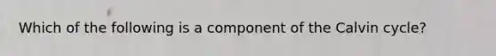 Which of the following is a component of the Calvin cycle?