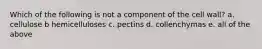 Which of the following is not a component of the cell wall? a. cellulose b hemicelluloses c. pectins d. collenchymas e. all of the above