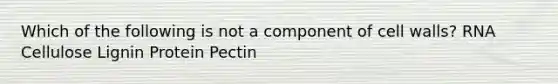 Which of the following is not a component of cell walls? RNA Cellulose Lignin Protein Pectin