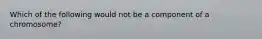 Which of the following would not be a component of a chromosome?