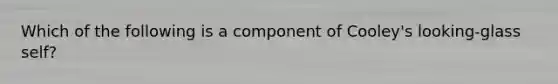 Which of the following is a component of Cooley's looking-glass self?