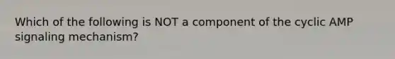 Which of the following is NOT a component of the cyclic AMP signaling mechanism?