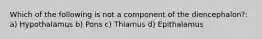 Which of the following is not a component of the diencephalon?: a) Hypothalamus b) Pons c) Thlamus d) Epithalamus