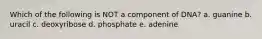 Which of the following is NOT a component of DNA? a. guanine b. uracil c. deoxyribose d. phosphate e. adenine