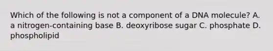 Which of the following is not a component of a DNA molecule? A. a nitrogen-containing base B. deoxyribose sugar C. phosphate D. phospholipid